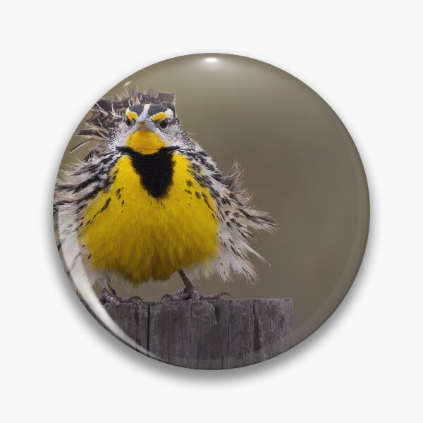 Item preview, Eastern Meadowlark designed and sold by SuddenJim.