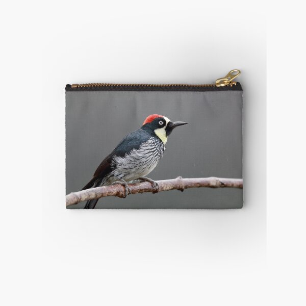 Item preview, Woodpecker designed and sold by mlorenz.
