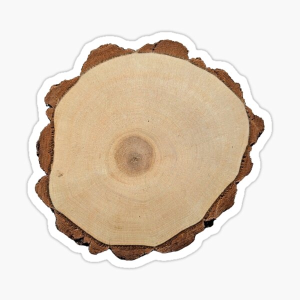 Item preview, Sourwood Wood Slice designed and sold by wood burn corner.