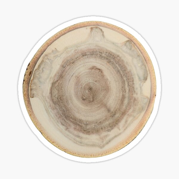 Item preview, Aspen Wood Slice designed and sold by wood burn corner.