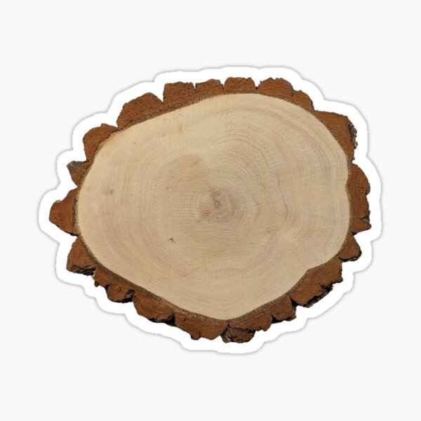 Item preview, Sourwood Wood Slice (Oval) designed and sold by wood burn corner.