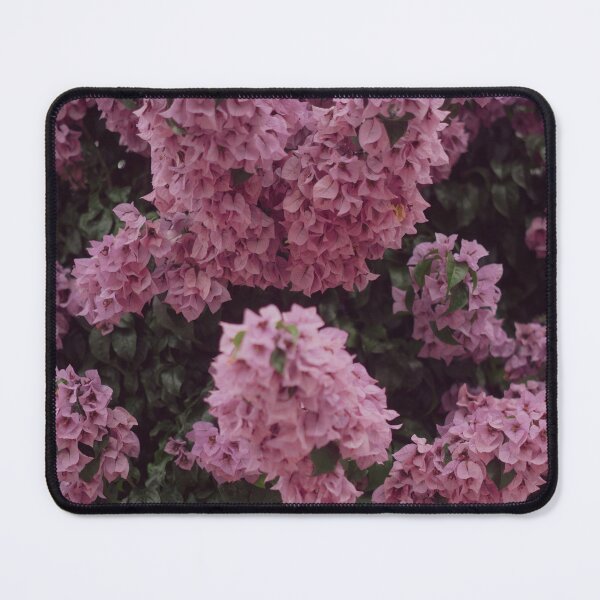 Item preview, Soft Pink Bougainvillea designed and sold by anafrancisconi.