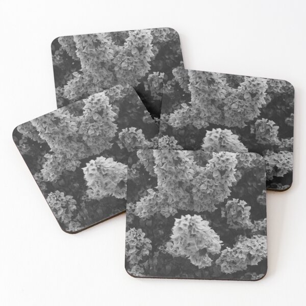 Item preview, Monochrome Bougainvillea designed and sold by anafrancisconi.