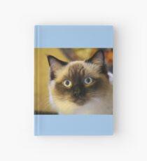 Cuaderno de tapa dura Hermoso gato RagDoll