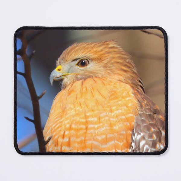 Item preview, Hawk designed and sold by Parks and X.