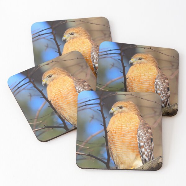 Item preview, Hawk designed and sold by Parks and X.