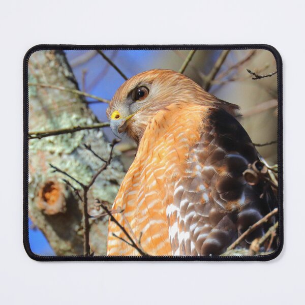 Item preview, Red Hawk  designed and sold by Parks and X.
