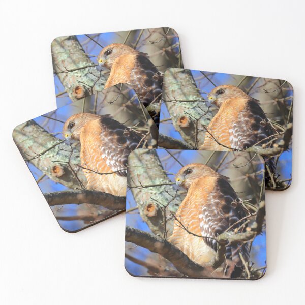 Item preview, Red Hawk  designed and sold by Parks and X.