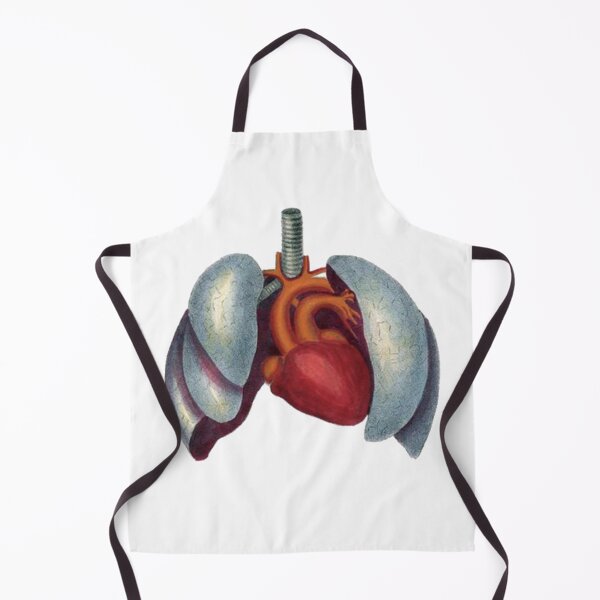 Item preview, Vintage Medical Drawing, Heart and Lungs Medical Illustration designed and sold by HawthorneFlame.