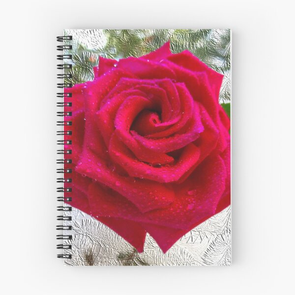Item preview, Beautiful Ruby Rose in the Snow designed and sold by BostonArcImage.