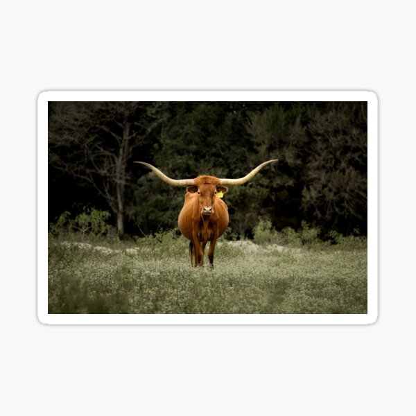 Item preview, red longhorn designed and sold by WeedyCreek.