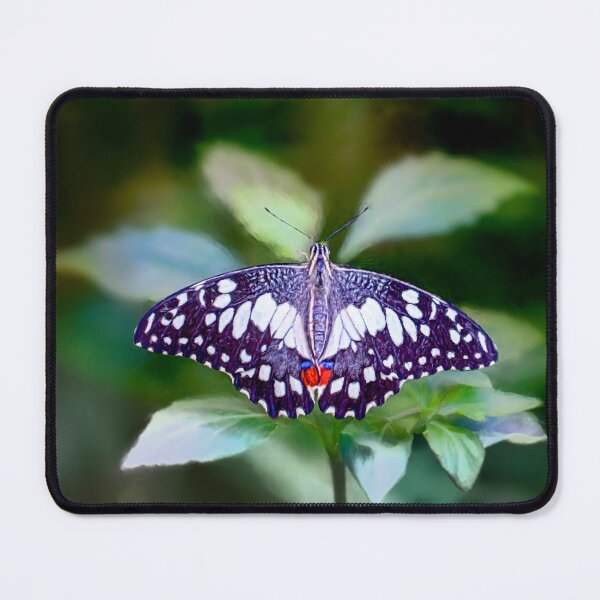 Item preview, Garden Monarch designed and sold by Ilona Abou-Zolof.