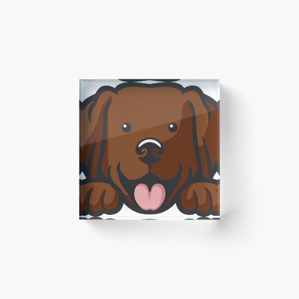 Item preview, Chocolate Lab Peeking Dog designed and sold by Arkansas Made.