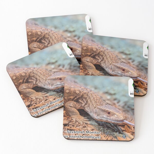Item preview, "Appa" - Savannah Monitor designed and sold by KYReptileZoo.