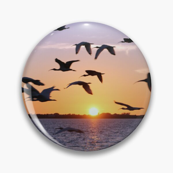 Item preview, Florida Flight designed and sold by Kerri Ann McClellan.