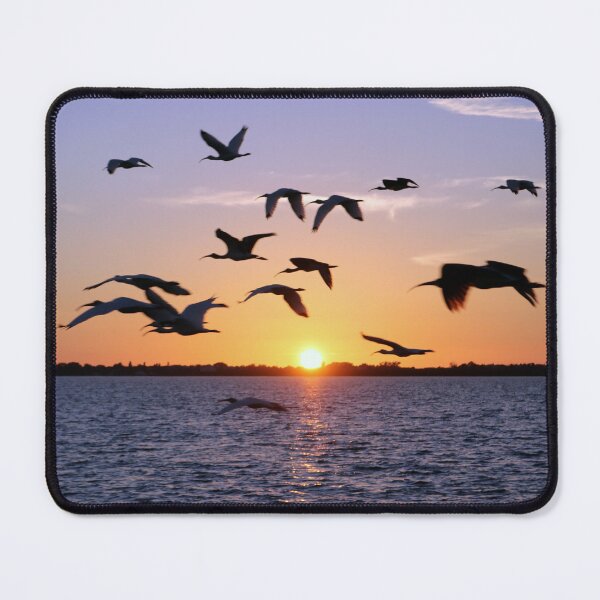 Item preview, Florida Flight designed and sold by Kerri Ann McClellan.