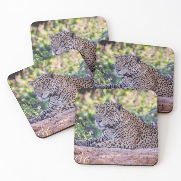 Item preview, Alert Jaguar Pantanal Brazil designed and sold by PhotoArt by Joan Carroll.