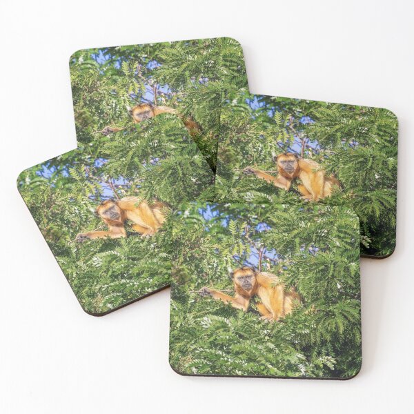 Item preview, Howler Monkey Pantanal Brazil designed and sold by PhotoArt by Joan Carroll.