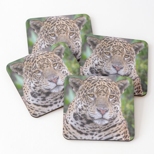 Item preview, Jaguar Portrait Pantanal Brazil designed and sold by PhotoArt by Joan Carroll.