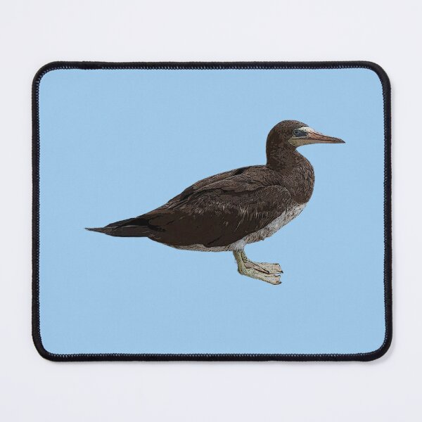 Item preview, Cocos Booby Color Design designed and sold by designsasstultd.