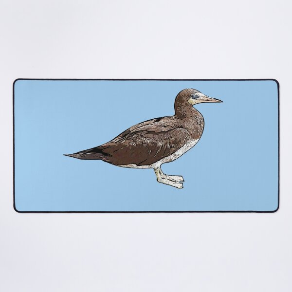 Item preview, Cocos Booby Black Alternate Design designed and sold by designsasstultd.