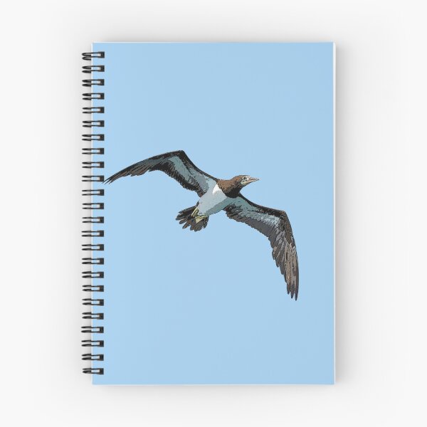 Item preview, Cocos Booby Flying Color Design  designed and sold by designsasstultd.