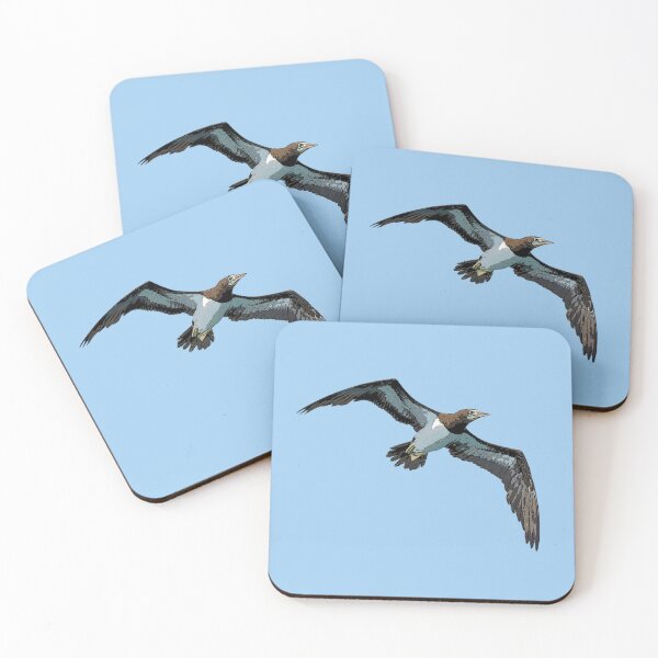 Item preview, Cocos Booby Flying Color Design  designed and sold by designsasstultd.