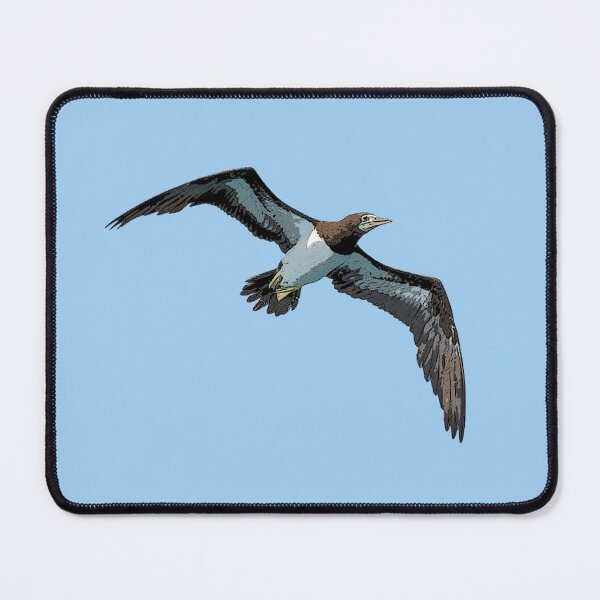 Item preview, Cocos Booby Flying Color Design designed and sold by designsasstultd.