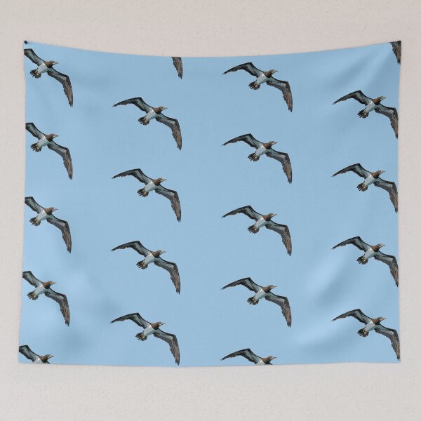 Item preview, Cocos Booby Flying Color Design  designed and sold by designsasstultd.