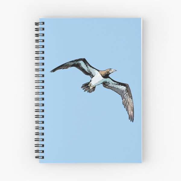 Item preview, Cocos Booby Flying Black Alternate Design  designed and sold by designsasstultd.