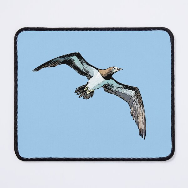 Item preview, Cocos Booby Flying Black Alternate Design designed and sold by designsasstultd.