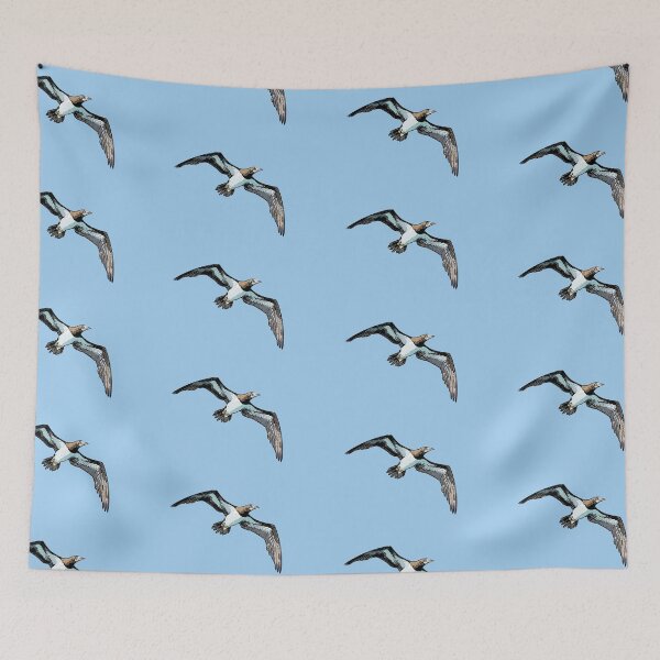 Item preview, Cocos Booby Flying Black Alternate Design  designed and sold by designsasstultd.