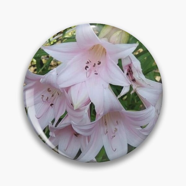 Item preview, Floral Pink Lilies Wagonesta  designed and sold by Wagonesta.
