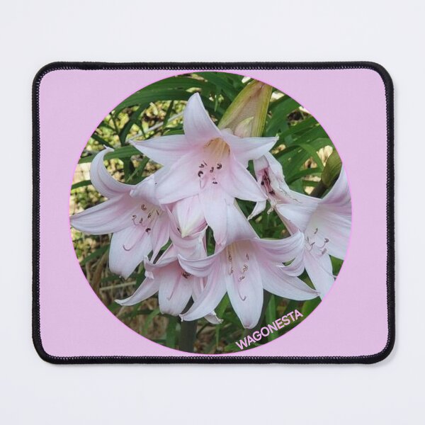 Item preview, Floral Pink Lilies Wagonesta  designed and sold by Wagonesta.