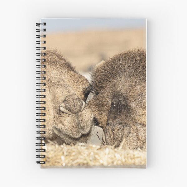 Item preview, Yummy Hay designed and sold by Marylou Badeaux.