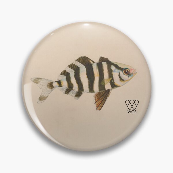 Item preview, Hudson Canyon Man-of-war Fish designed and sold by WCS-Archives.