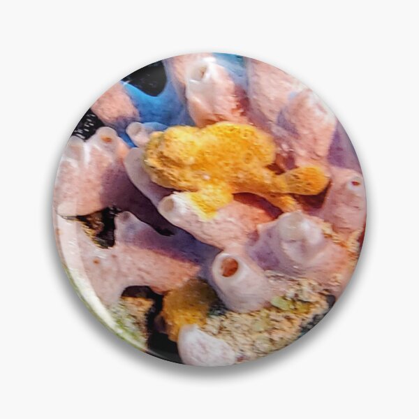 Item preview, Underwater Frog Fish on the Dive in Bonaire by Wagonesta  designed and sold by Wagonesta.
