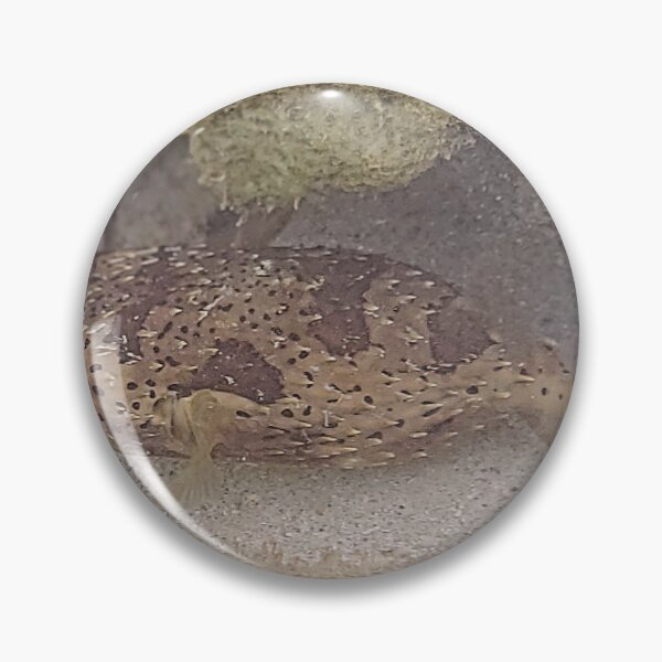 Item preview, Underwater Puffer Fish on the Dive in Bonaire by Wagonesta  designed and sold by Wagonesta.