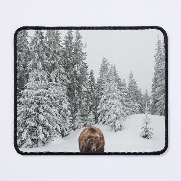 Item preview, A Bear's Winter Quest: Tales of the Snow designed and sold by DoubleACreation.
