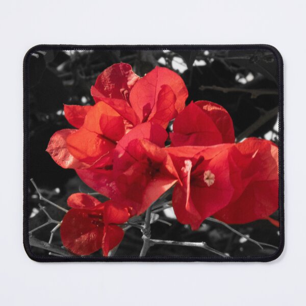Item preview, Red Paper Flower in Sunlight designed and sold by Boujiee-Boutique.