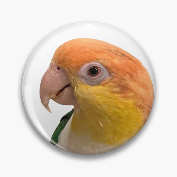 Item preview, Caique designed and sold by rehm2000.