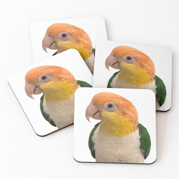 Item preview, Caique designed and sold by rehm2000.