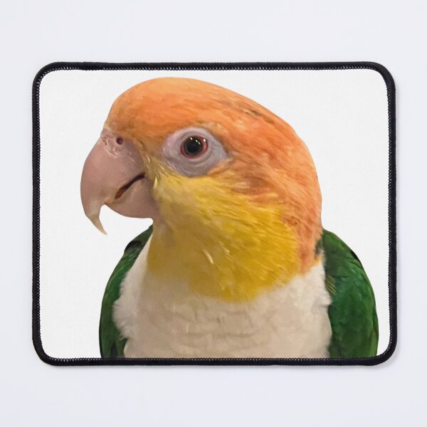 Item preview, Caique designed and sold by rehm2000.