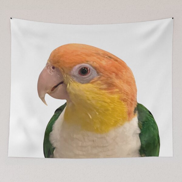 Item preview, Caique designed and sold by rehm2000.