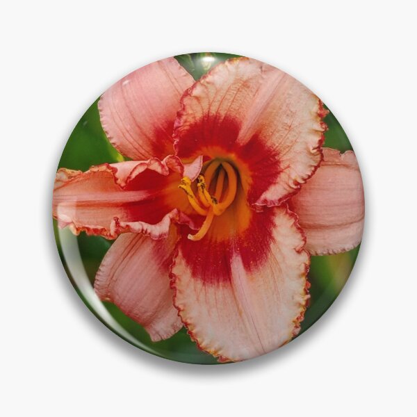 Item preview, Ain't that Peachy designed and sold by TSinclairArt.