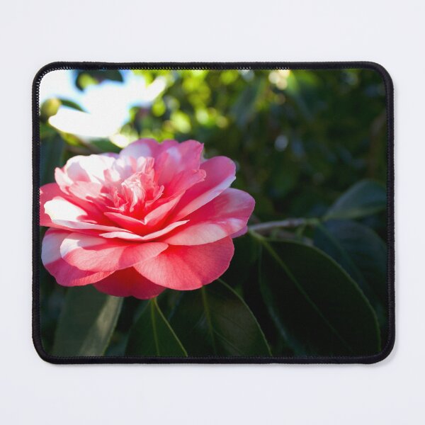 Item preview, Pink and Green designed and sold by Scott K Smith.