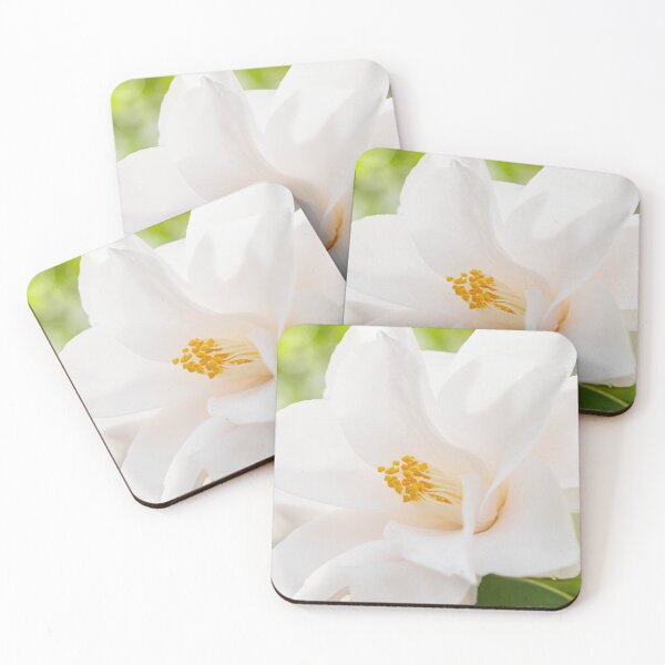 Item preview, White Camellia japonica blossom in sunlight designed and sold by Bentenya.