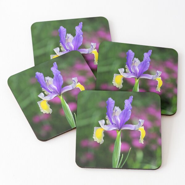 Item preview, Stand Out Iris Flower designed and sold by Joy Watson - Natural Light Photography .