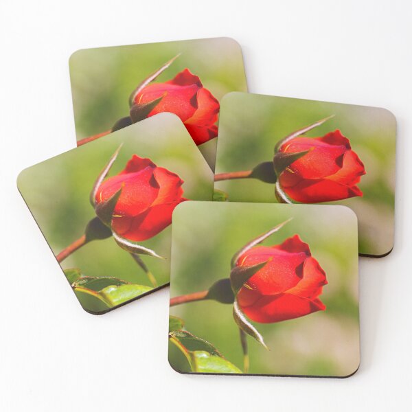 Item preview, My Red Rose Of Love designed and sold by Joy Watson - Natural Light Photography .