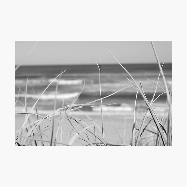 Item preview, Sea grass designed and sold by Kim Ball.